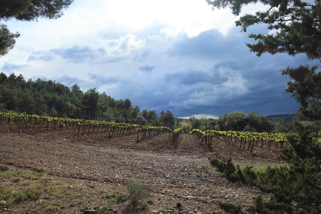Masia Sagues Poblet Dış mekan fotoğraf