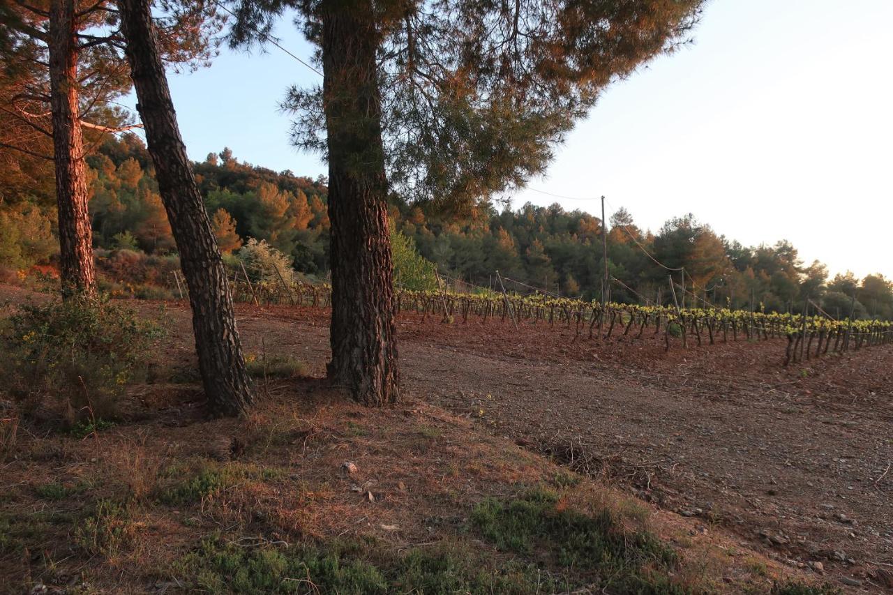 Masia Sagues Poblet Dış mekan fotoğraf