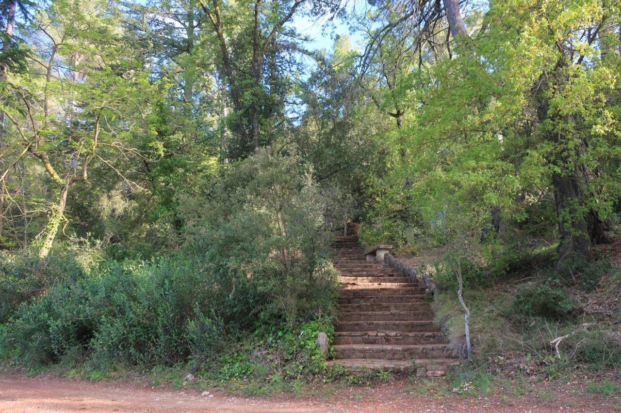 Masia Sagues Poblet Dış mekan fotoğraf