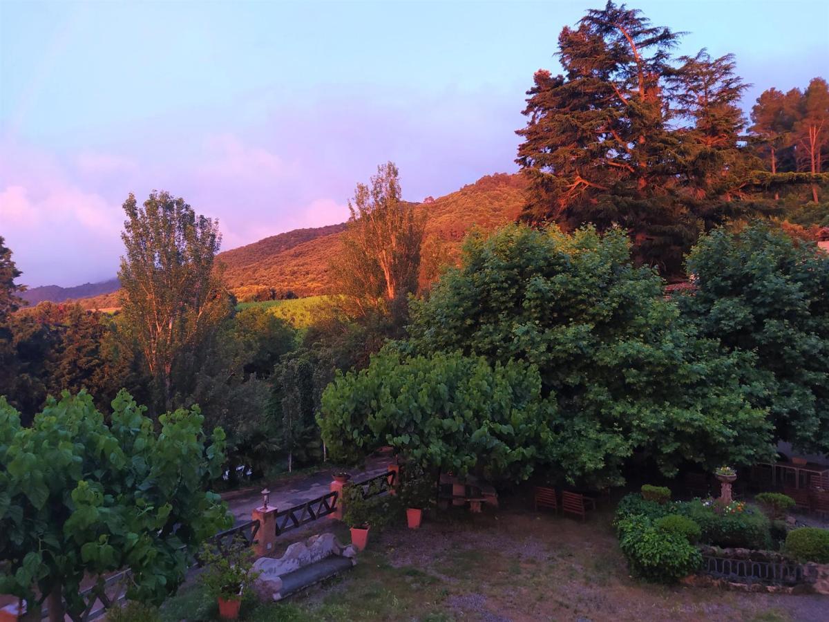 Masia Sagues Poblet Dış mekan fotoğraf
