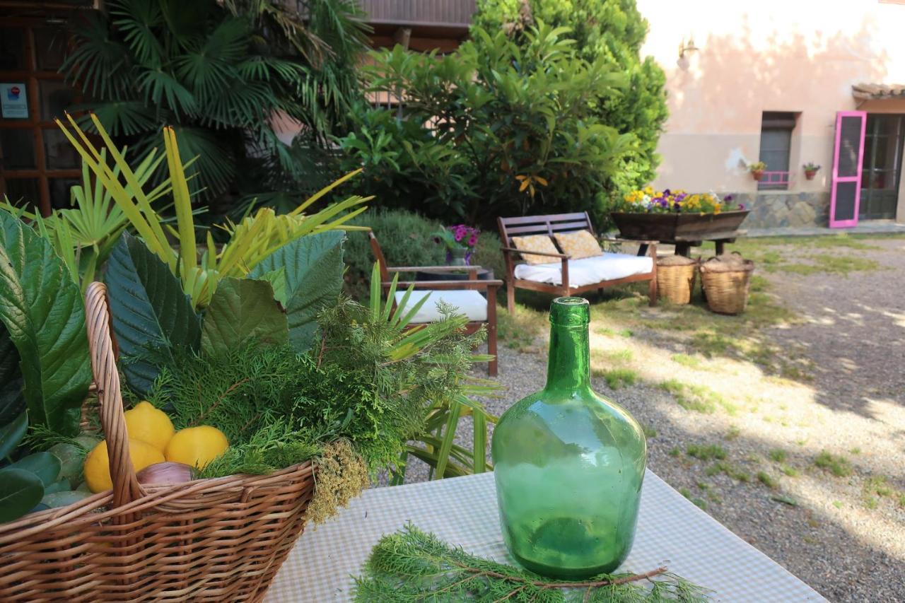 Masia Sagues Poblet Dış mekan fotoğraf
