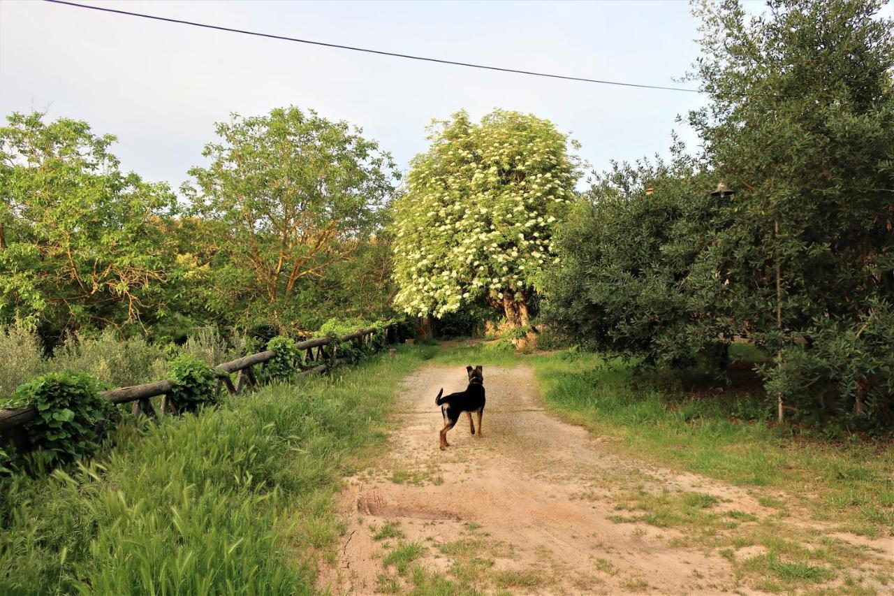 Masia Sagues Poblet Dış mekan fotoğraf