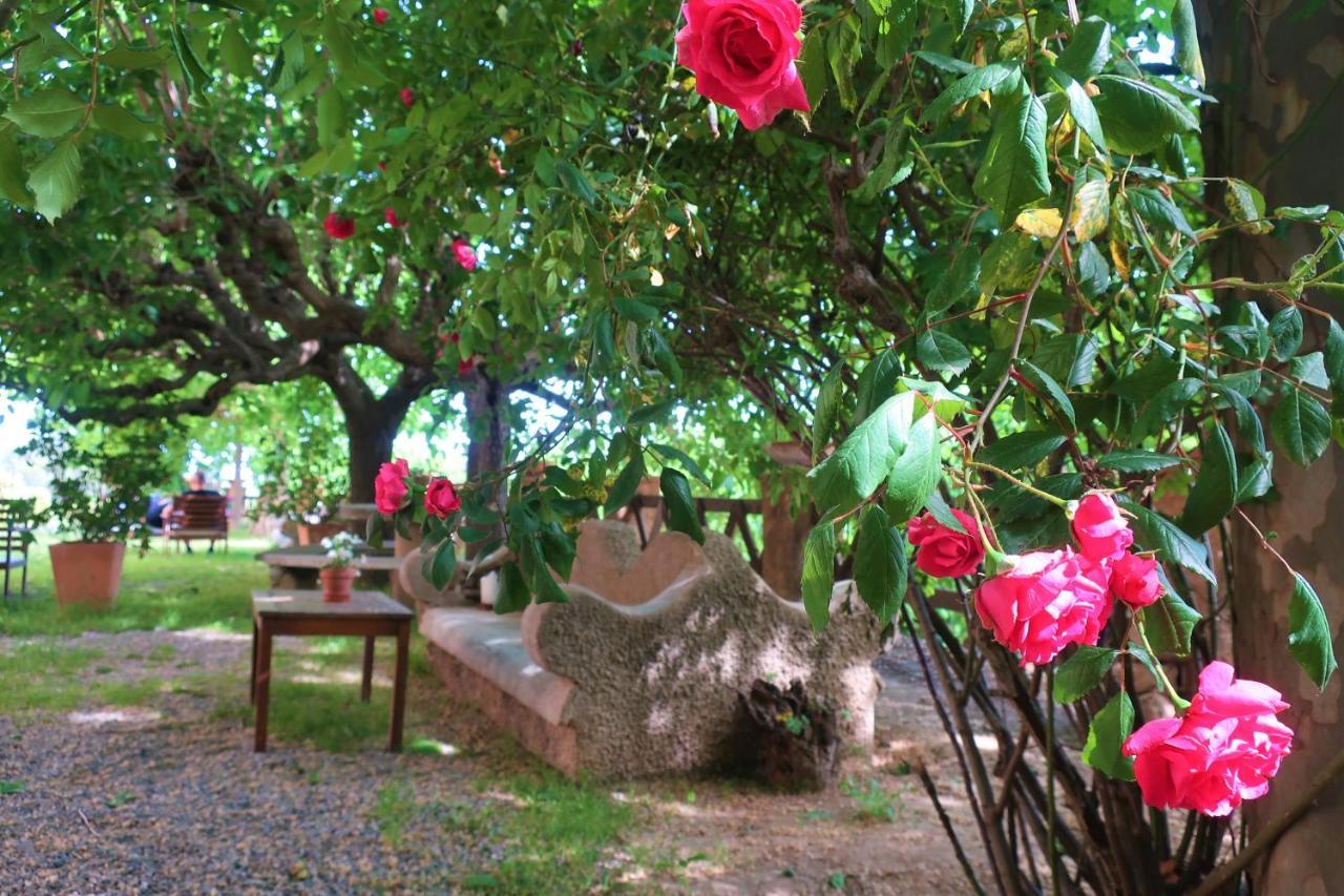 Masia Sagues Poblet Dış mekan fotoğraf