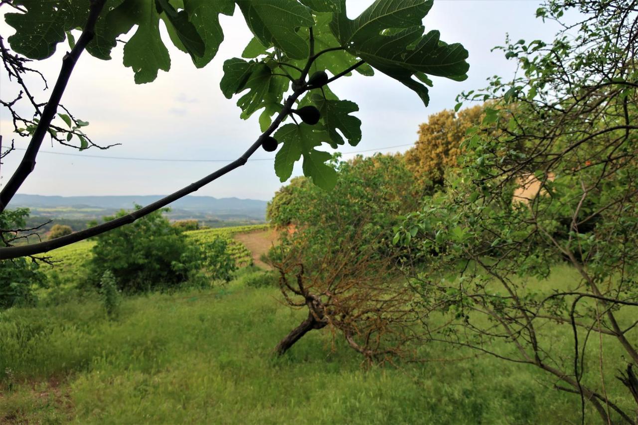 Masia Sagues Poblet Dış mekan fotoğraf