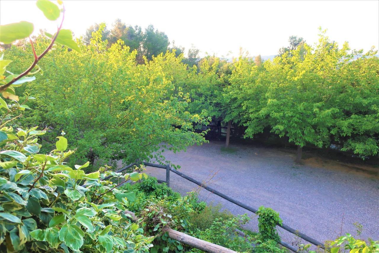 Masia Sagues Poblet Dış mekan fotoğraf