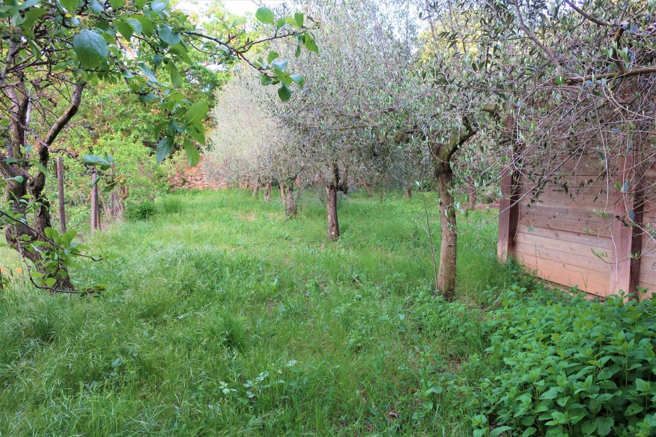 Masia Sagues Poblet Dış mekan fotoğraf